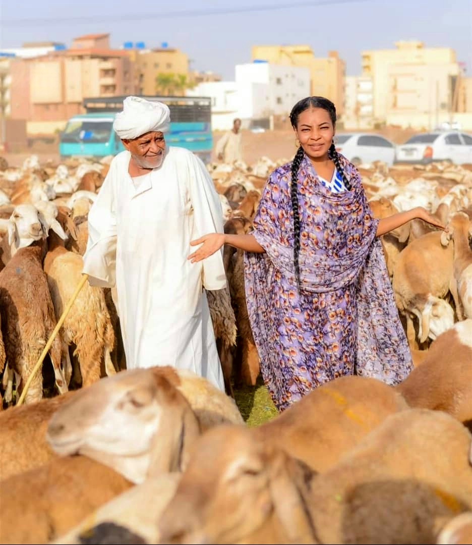 انتقال الماشية.. الأمراض والتغول على المراعي.. المخاوف الدائمة