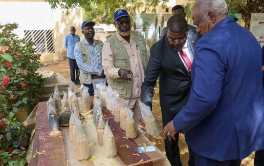 عضو بالسيادي: مشكلتان عانى منهما السودان منذ الاستقلال.. تعرف عليهما