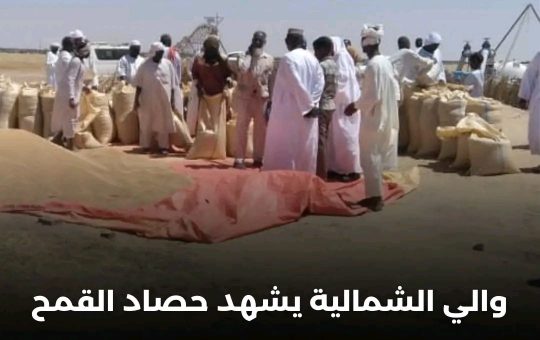 السودان – الولايه الشماليه  – الفضاء نيوز  *والي الشمالية يشهد حصاد القمح بمشروع المقاودة بمحلية القولد*