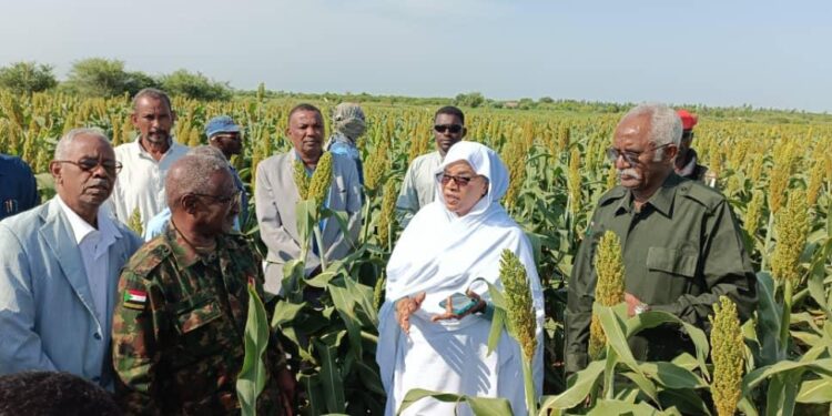 السودان – “الفضاء نيوز”:  *”والي النيل الأبيض” واللجنة القومية للإستنفار يقفون على محاصيل الموسم الزراعي بالجبلين*