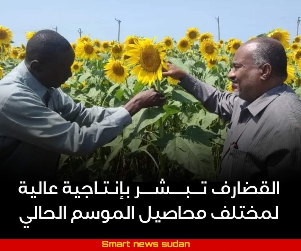 السودان – “الفضاء نيوز”:  *القضارف تبشر بإنتاجية عالية لمختلف محاصيل الموسم الحالي*