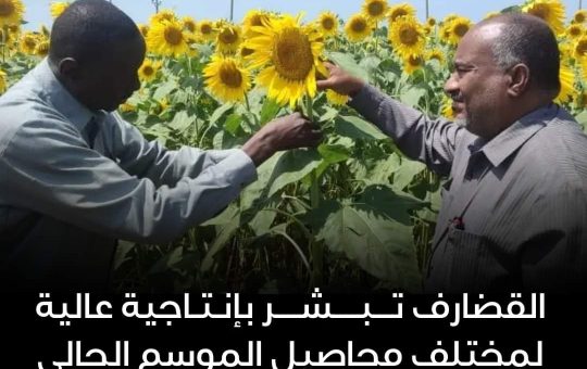 السودان – “الفضاء نيوز”:  *القضارف تبشر بإنتاجية عالية لمختلف محاصيل الموسم الحالي*