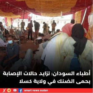 السودان -“الفضاء نيوز”: ولايات :  أطباء السودان: تزايد حالات الإصابة بحمى الضنك في كسلا