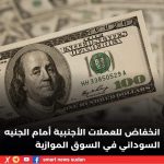 السودان -“الفضاء نيوز”:  إنخفاض لسعر العملات الأجنبية مقابل الجنيه السوداني في السوق الموازي