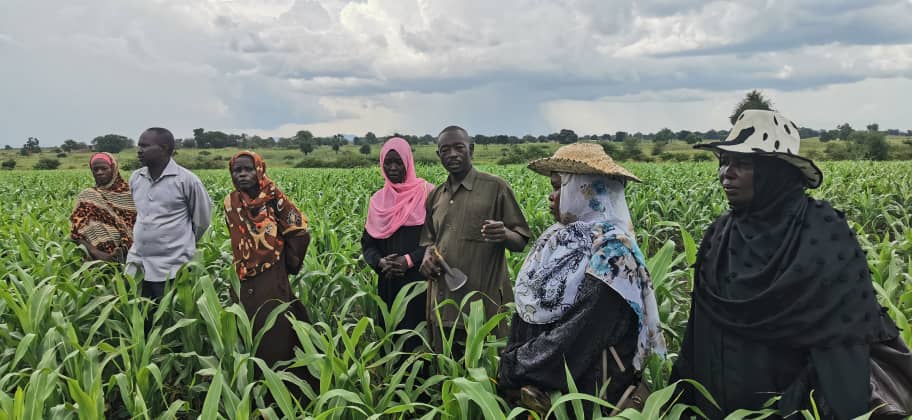 السودان – “الفضاء نيوز”:  *البحوث الزراعية والفاو يقفان على حقل إنتاج التقاوي للمجتمعات بالبرداب*