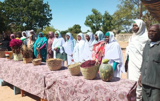 السودان – “الفضاء نيوز”:  *المجتمعات المستفيدة من تقاوي منظمة فيت كير تحتفل بحصاد الموسم*