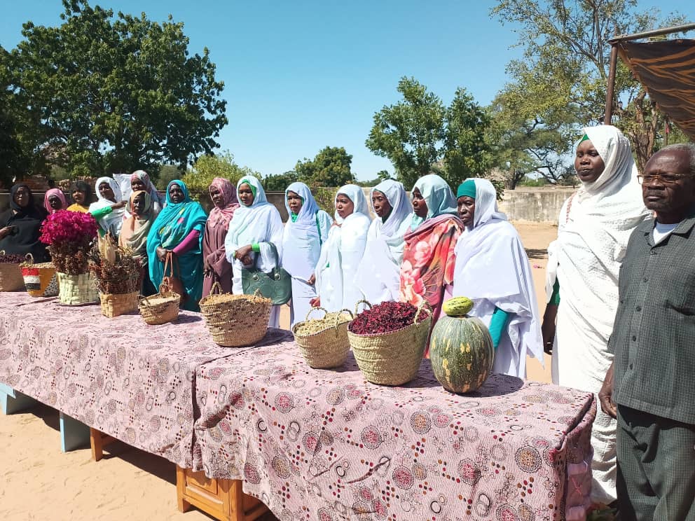 السودان – “الفضاء نيوز”:  *المجتمعات المستفيدة من تقاوي منظمة فيت كير تحتفل بحصاد الموسم*