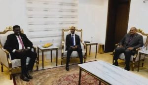 تعاون وتوافق سياسي وإقتصادي مابين دولتي السودان وجنوب السودان*