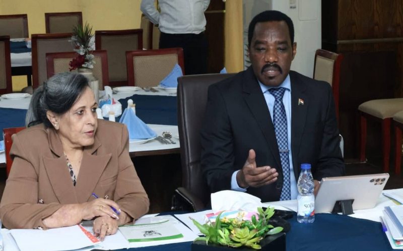 السودان – “الفضاء نيوز”: *”وزير الموارد البشرية” يترأس اجتماع مجلس إدارة الصندوق القومي الوطني للمعاشات والتأمينات الاجتماعية*