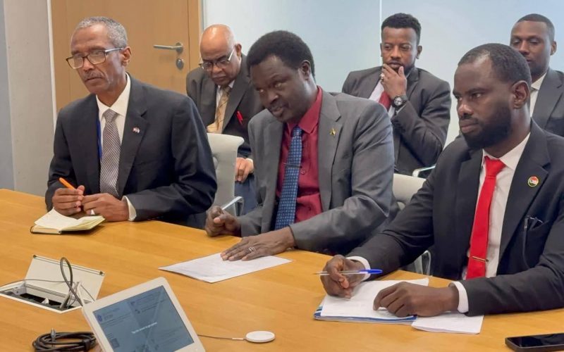 السودان – “الفضاء نيوز”: *”مناوي” يعقد اجتماعاً بجنيف مع الرئيس المناوب لمكتب الأمم المتحدة لتنسيق الشؤون الإنسانية*