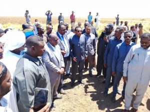 السودان – “الفضاء نيوز”: *”رئيس الوزراء” يدشن حصاد القمح بمشروع الجزيرة*   