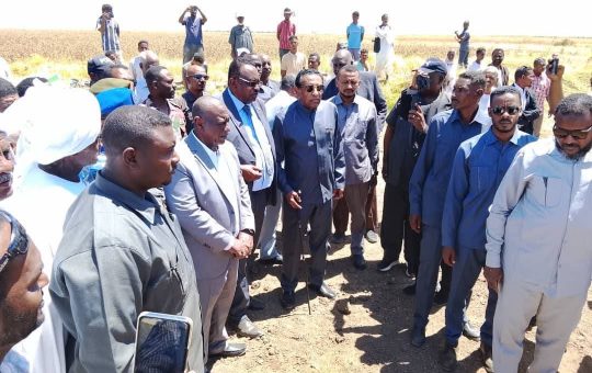 السودان – “الفضاء نيوز”: *”رئيس الوزراء” يدشن حصاد القمح بمشروع الجزيرة*   