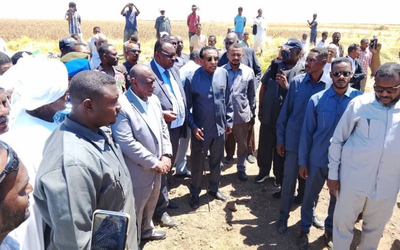 السودان – “الفضاء نيوز”: *”رئيس الوزراء” يدشن حصاد القمح بمشروع الجزيرة*   