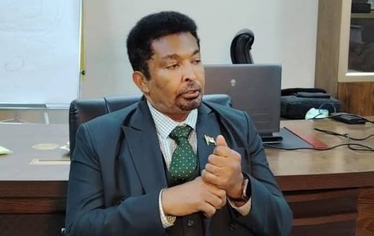 *المنصوري يقدم استراتيجيات تنفيذ مشروعات الثروة الحيوانية*   