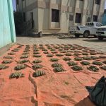 السودان – “الفضاء نيوز”: *قوات الجمارك تُحبط محاولة تهريب (1000) قندول حشيش بضواحي المناقل وتضبط متهمين*