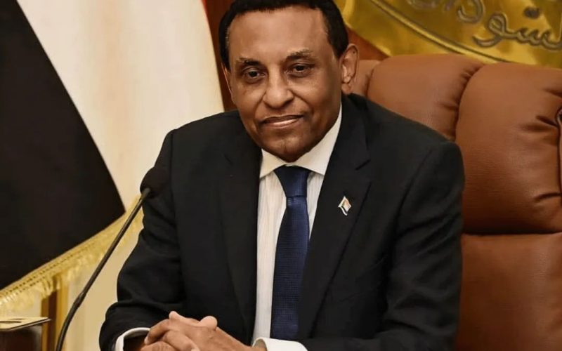 د. كامل ادريس يشيد باسهامات الجاليات السودانية بالخارج في دعم مسيرة البناء الوطني