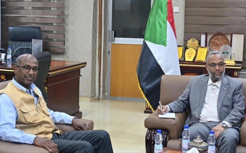 وزير الصحة يبحث مع منظمات كندية وتركية دعم المشاريع الصحية ذات الأولوية
