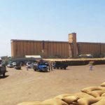 السودان – “الفضاء نيوز”: *إنخفاض في اسعار الذرة وارتفاع في محصول الدخن بالقضارف*