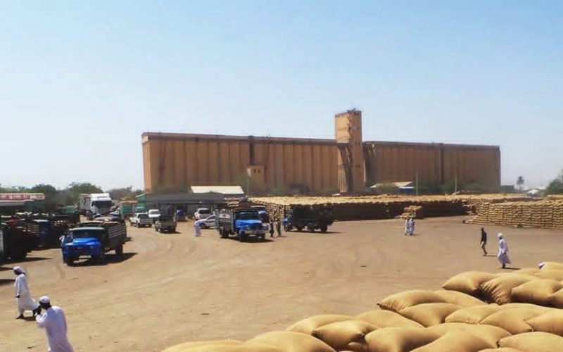 السودان – “الفضاء نيوز”: *إنخفاض في اسعار الذرة وارتفاع في محصول الدخن بالقضارف*