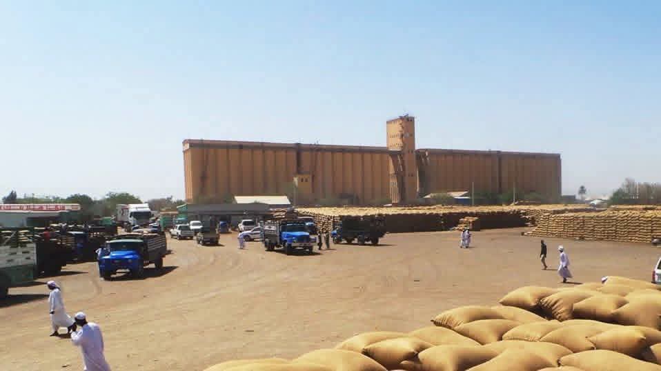 السودان – “الفضاء نيوز”: *إنخفاض في اسعار الذرة وارتفاع في محصول الدخن بالقضارف*