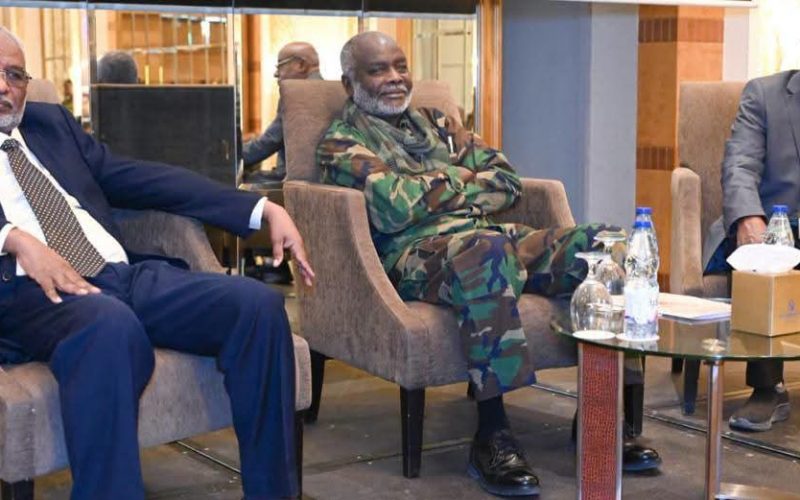 السودان – “الفضاء نيوز”: *وزير المالية يخاطب ورشة التحقق من نتائج دراسة تقليص القطاع غير المنظم وتمكين التحول للقطاع المنظم*