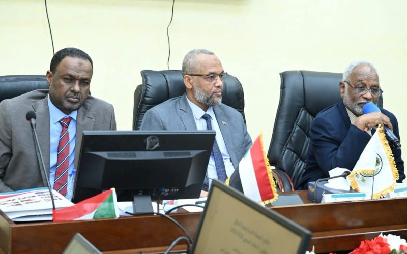 السودان – “الفضاء نيوز”: *مجلس تنسيق الخدمات الصحية القومي يعقد اجتماعه الأول لعام 2026*